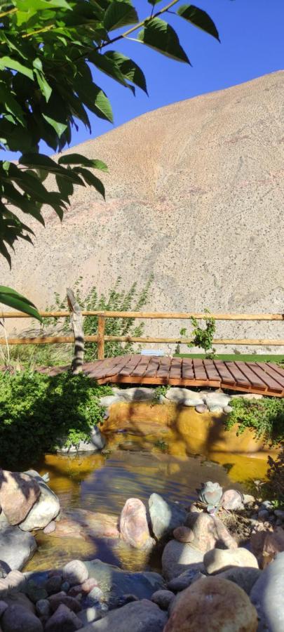 פיסקו אלקי Casa Jardin De Hadas Con Vista Panoramica מראה חיצוני תמונה