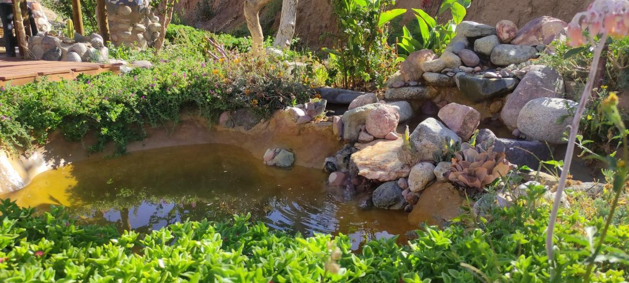 פיסקו אלקי Casa Jardin De Hadas Con Vista Panoramica מראה חיצוני תמונה